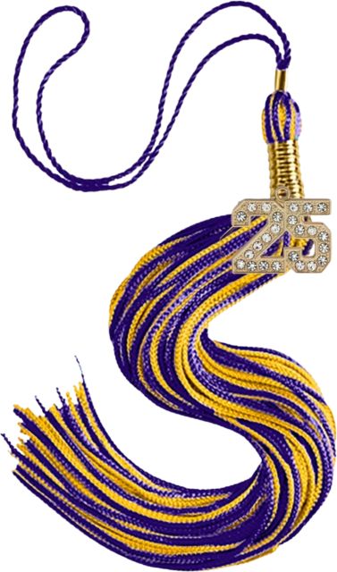 UWT BLING STONE TASSEL